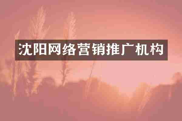 沈阳网络营销推广机构