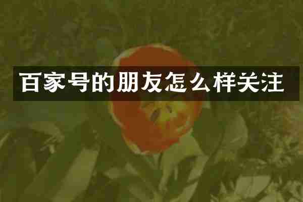 百家号的朋友怎么样关注
