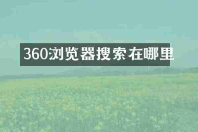 360浏览器搜索在哪里