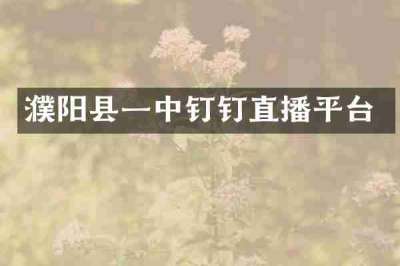 濮阳县一中钉钉直播平台