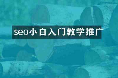 seo小白入门教学推广
