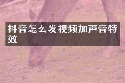 抖音怎么发视频加声音特效