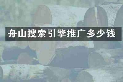 舟山搜索引擎推广多少钱