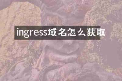 ingress域名怎么获取