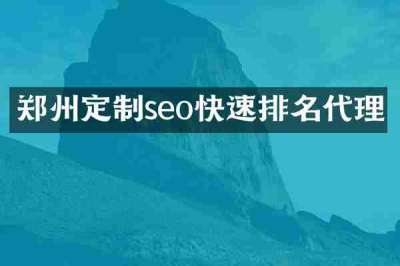 郑州定制seo快速排名代理