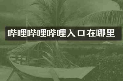 哔哩哔哩哔哩入口在哪里