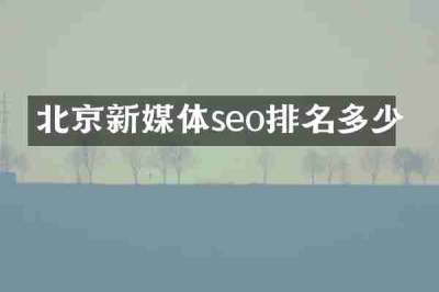 北京新媒体seo排名多少