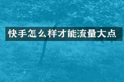 快手怎么样才能流量大点