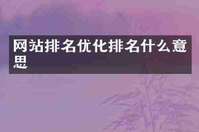 网站排名优化排名什么意思