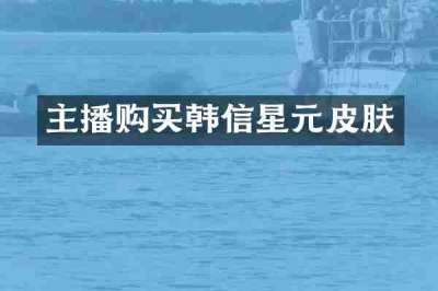 主播购买韩信星元皮肤