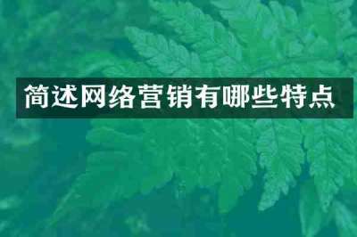 简述网络营销有哪些特点