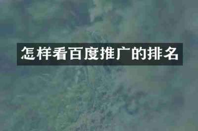 怎样看百度推广的排名