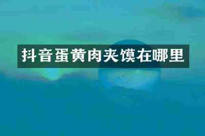 抖音蛋黄肉夹馍在哪里