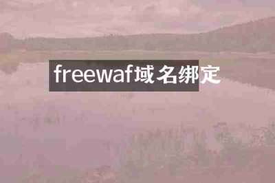 freewaf域名绑定