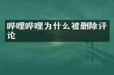 哔哩哔哩为什么被删除评论