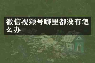 微信视频号哪里都没有怎么办