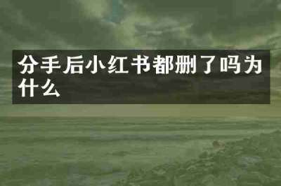 分手后小红书都删了吗为什么