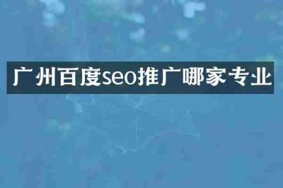 广州百度seo推广哪家专业