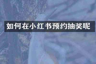 如何在小红书预约抽奖呢