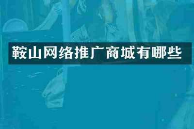 鞍山网络推广商城有哪些