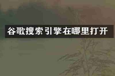 谷歌搜索引擎在哪里打开