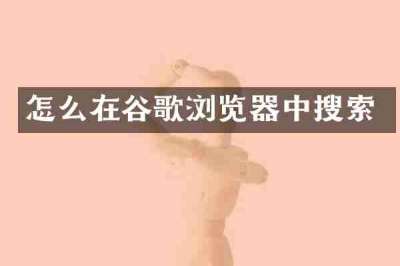怎么在谷歌浏览器中搜索