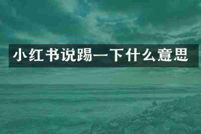 小红书说踢一下什么意思