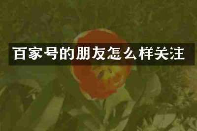 百家号的朋友怎么样关注