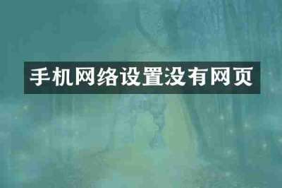 手机网络设置没有网页