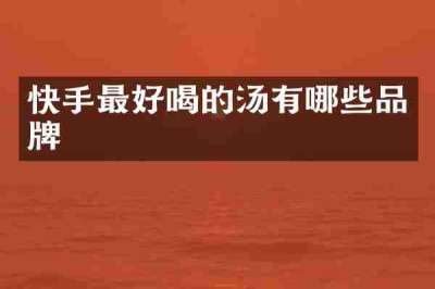 快手最好喝的汤有哪些品牌