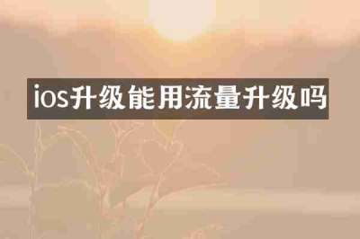 ios升级能用流量升级吗