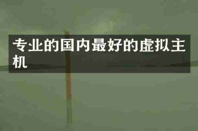专业的国内最好的虚拟主机
