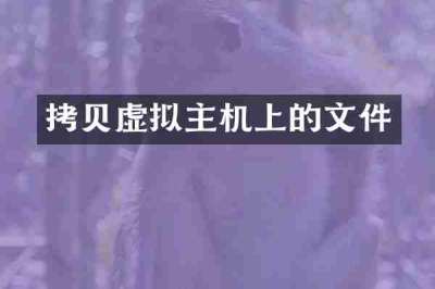 拷贝虚拟主机上的文件