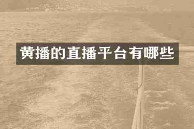 黄播的直播平台有哪些