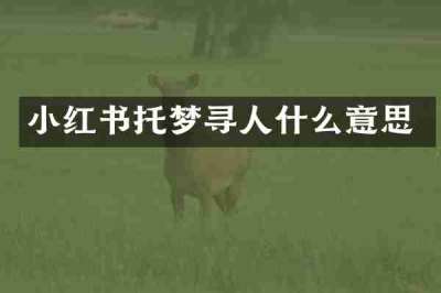小红书托梦寻人什么意思