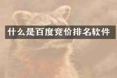 什么是百度竞价排名软件