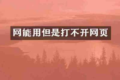 网能用但是打不开网页