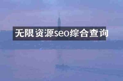 无限资源seo综合查询