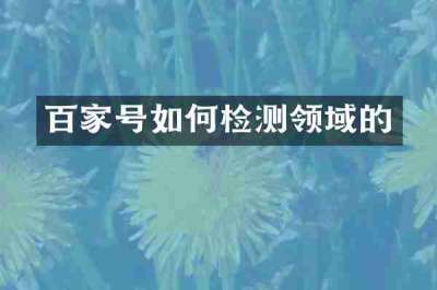 百家号如何检测领域的