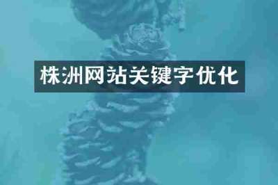 株洲网站关键字优化