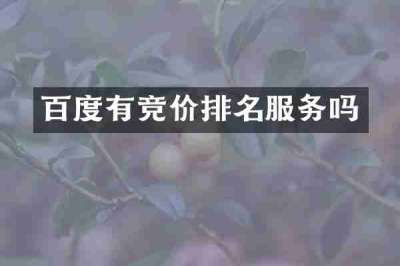 百度有竞价排名服务吗