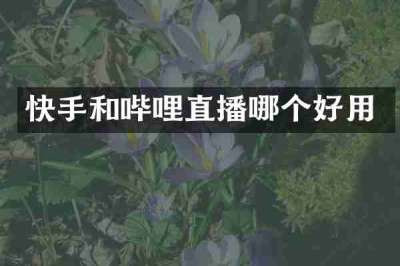快手和哔哩直播哪个好用