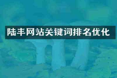 陆丰网站关键词排名优化