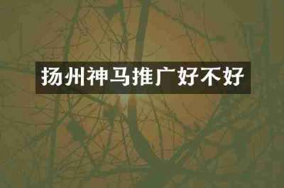 扬州神马推广好不好