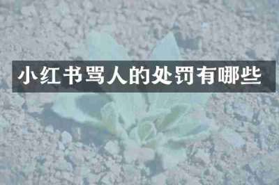 小红书骂人的处罚有哪些