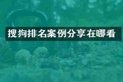 搜狗排名案例分享在哪看