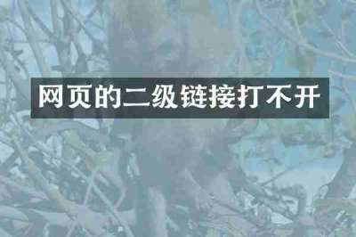 网页的二级链接打不开