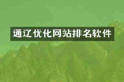 通辽优化网站排名软件