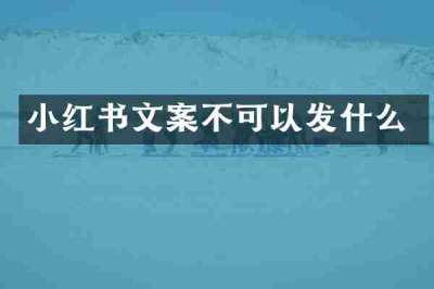 小红书文案不可以发什么