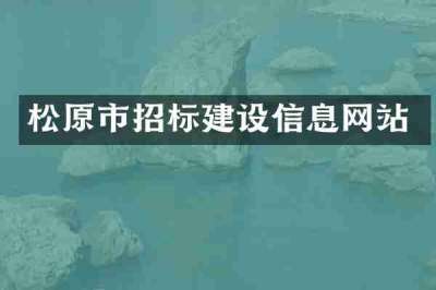 松原市招标建设信息网站
